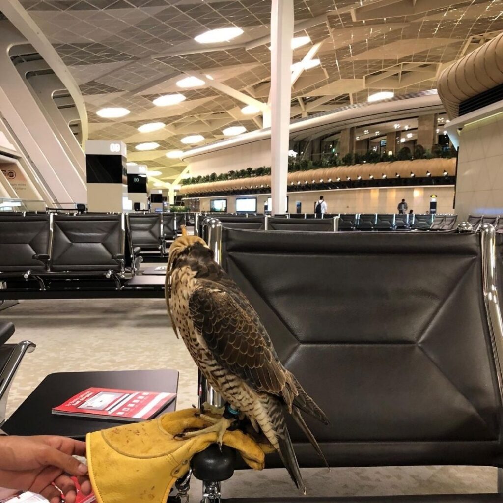 Doha Airport